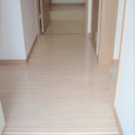 玄関廊下。玄関はシューズBOXあり。 玄関廊下。玄関はシューズBOXあり。