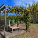 駐車場脇に小さなお庭あり