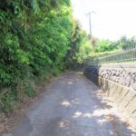 前面道路(周辺)