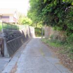 前面道路(周辺)